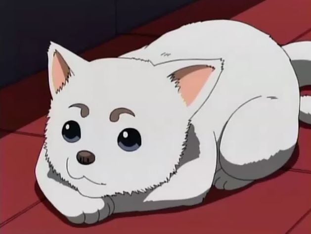 Most-Awesome-Dogs-in-Anime-7.jpeg