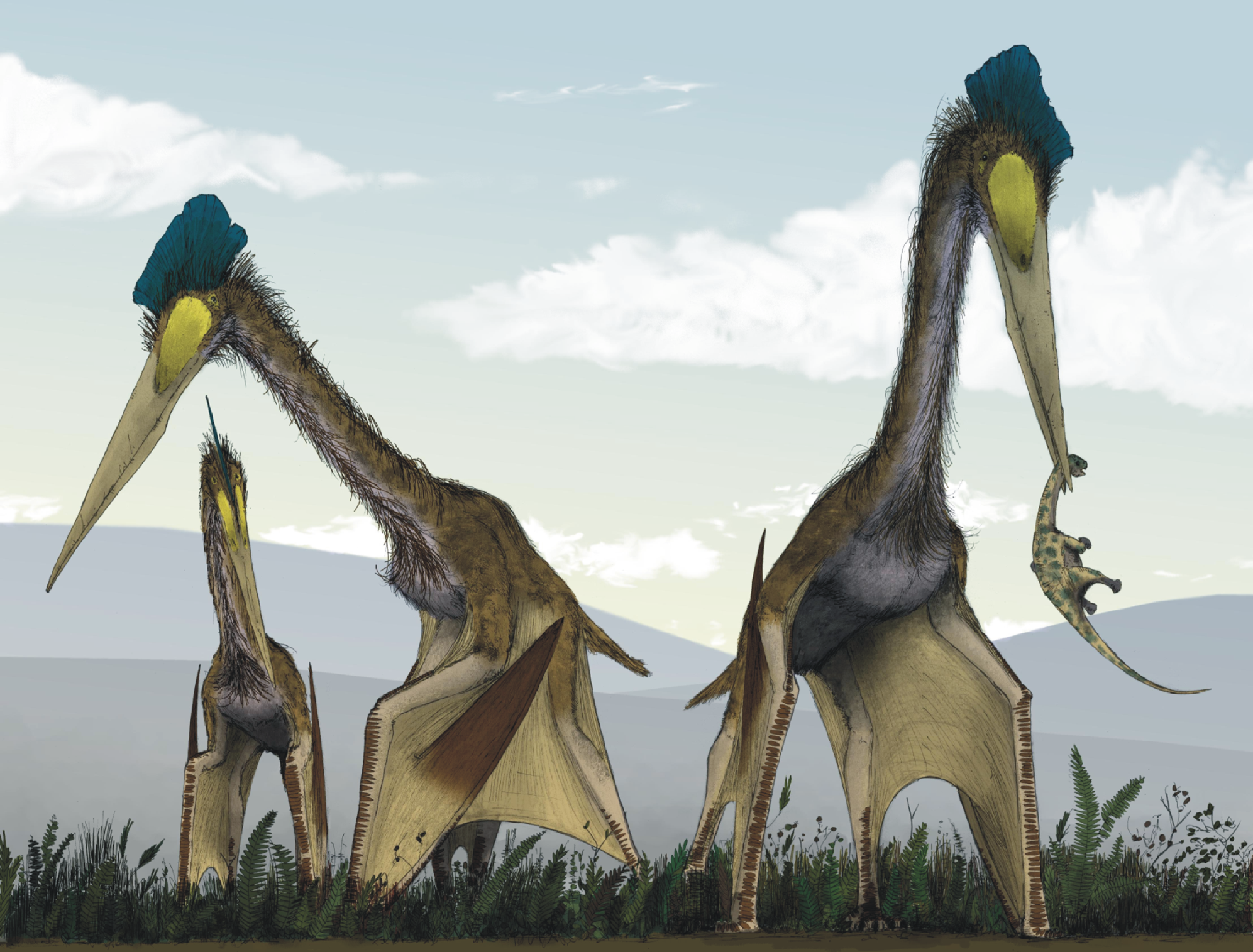Life_restoration_of_a_group_of_giant_azhdarchids%2C_Quetzalcoatlus_northropi%2C_foraging_on_a_Cretaceous_fern_prairie.png