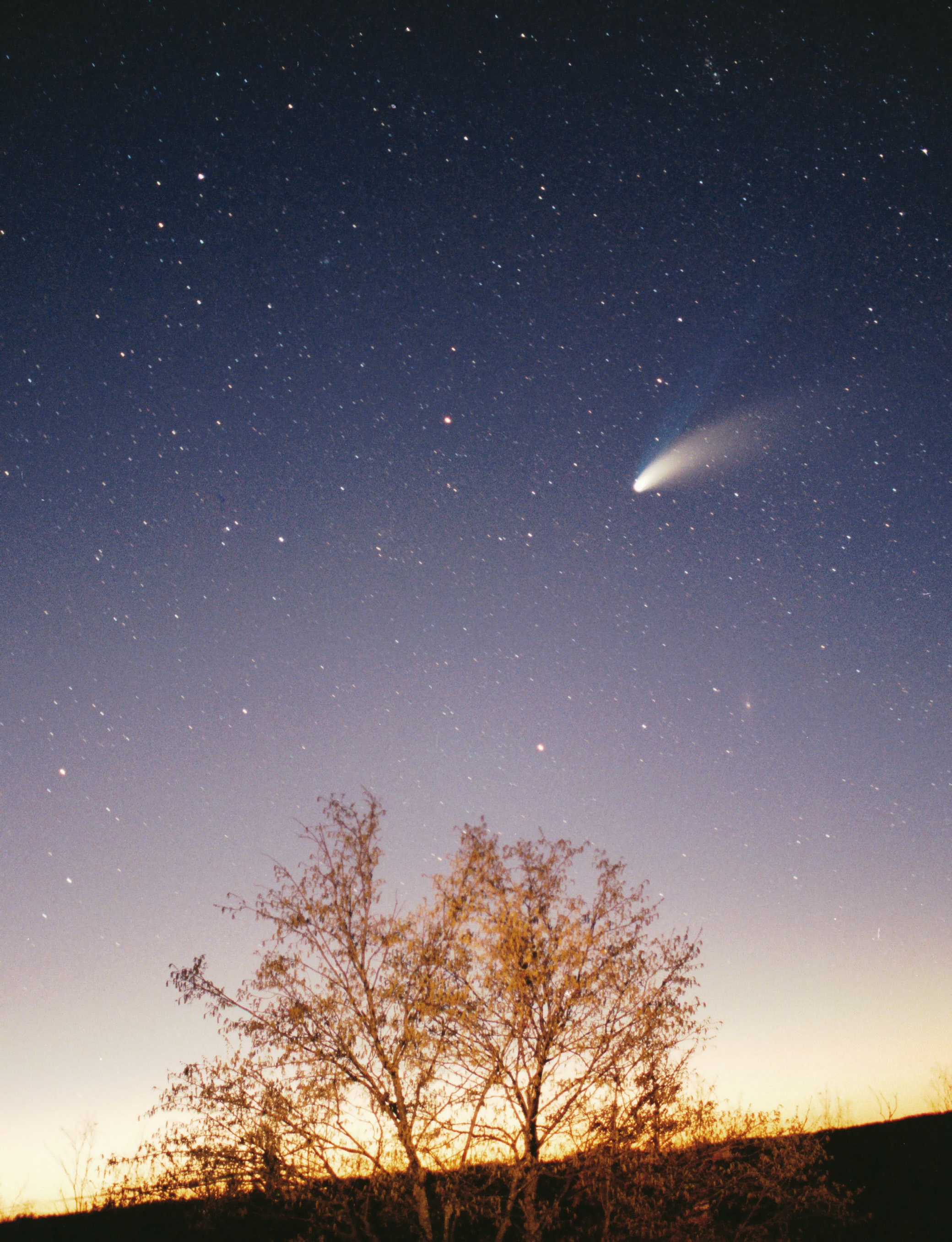 Comet-Hale-Bopp-29-03-1997_hires_adj.jpg