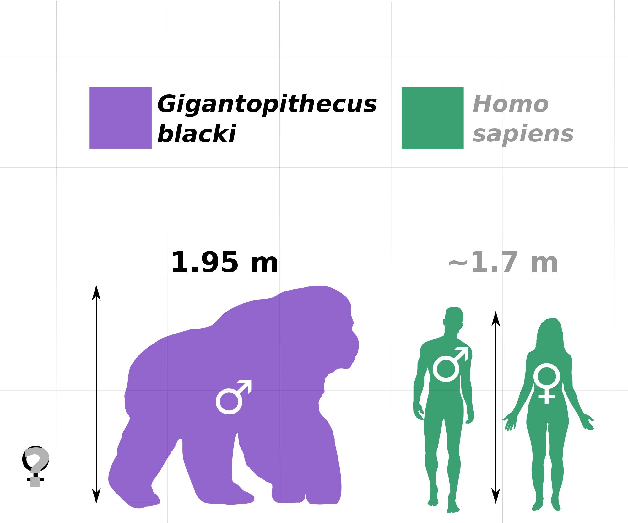 2000px-Gigantopithecus_v_human_v1.svg.png