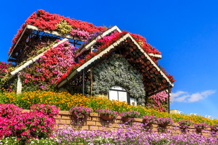 72046402-dubai-uae-january-5-2017-dubai-miracle-garden-flower-house-on-a-background-of-clouds-dubai-miracle-g.jpg