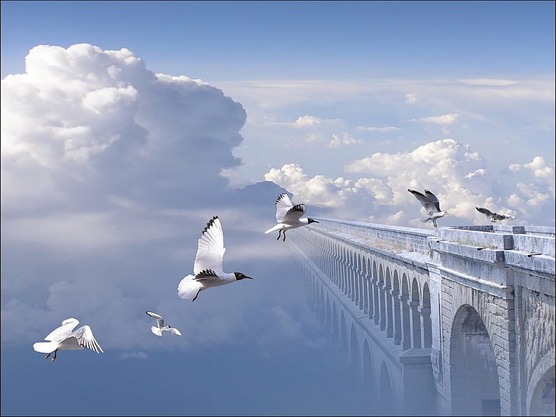 HD-wallpaper-seagulls-fantasy-fly-clouds-bridge.jpg