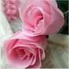 hot-whole-sale-red-and-pink-rose-seeds-cheap.jpg
