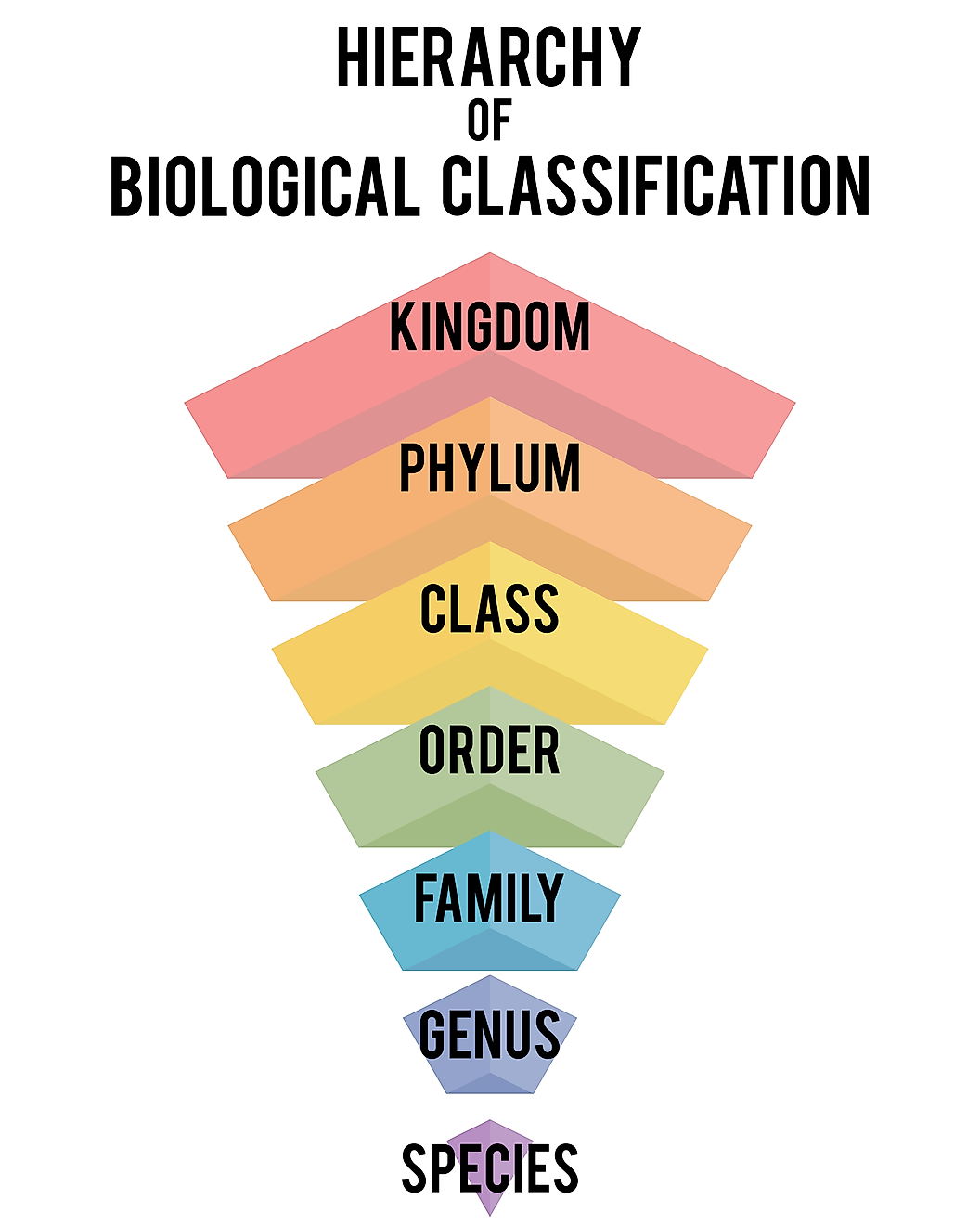 classification-system.png